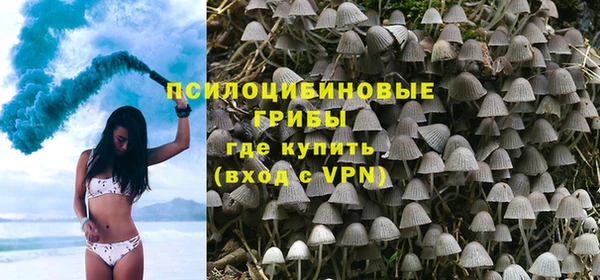 apvp Алзамай