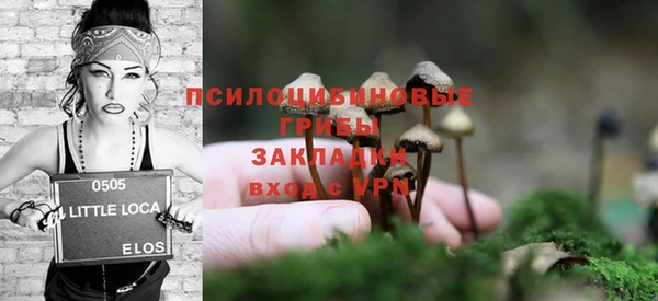 apvp Алзамай