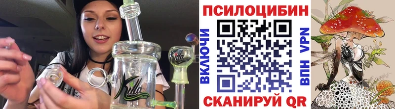 Псилоцибиновые грибы Psilocybine cubensis  Инсар 